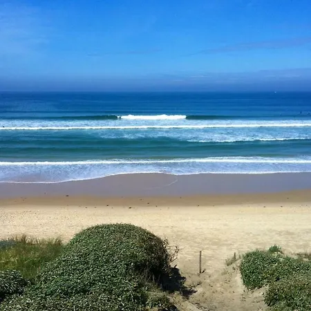 La Sud Holiday home Biscarrosse